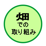 ���ł̎��g��