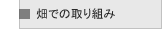���ł̎��g��