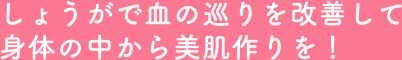 しょうがで血の巡りを改善して身体の中から美肌作りを!