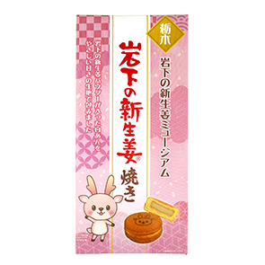 商品パッケージ