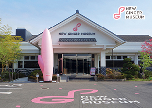 岩下の新生姜 商品情報 岩下食品