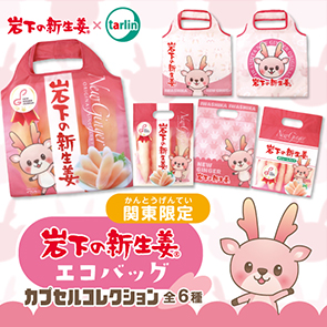 商品パッケージ