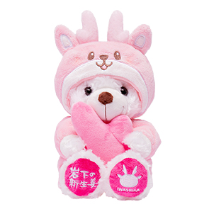 商品パッケージ