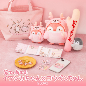 商品パッケージ